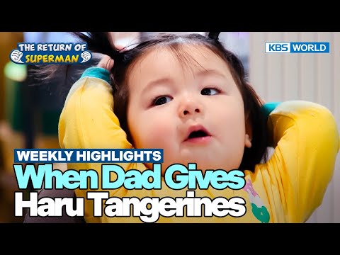 [Weekly Highlights] So Much More Good Food😋 [The Return of Superman] | KBS WORLD TV 251207