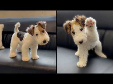 This Puppy Is So Cute He Doesn't Look Real