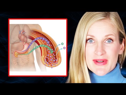 The FIRST STEPS to Reverse Insulin Resistance (How to Build the Foundation) | Dr. Morgan Nolte