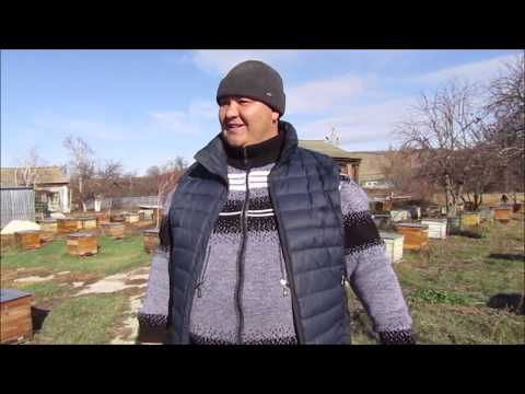 Наш омшаник (зимовник).