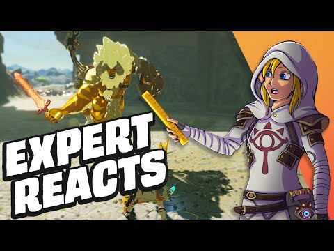 Zelda BOTW Expert Reacts To Viral Reddit Clips