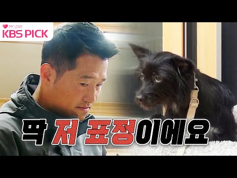 [#개는훌륭하다] 외부인을 향한 무한짖음으로 출입불가! 악귀(?) 들린 개 믹스견 '간짜장' 🐶ㅣKBS 221212 방송
