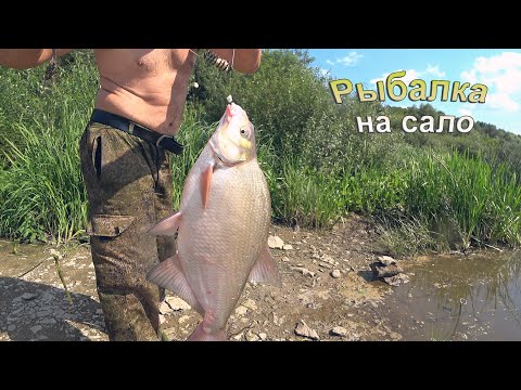 Эта снасть ловит леща и успешнее старого монтажа. Сало с перчиком и чесноком он любит . Рыбалка.