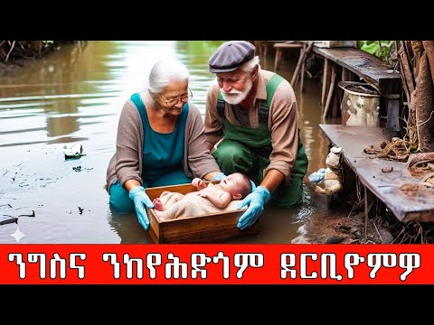 ንግስና ንኸየሕድጎም ናብ ውሑጅ ደርቢዮሞ ወዲቁ ዝተረኸበ ቆልዓ