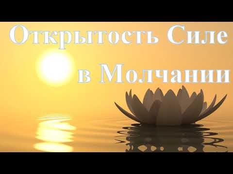 А.В.Клюев - Практическая реализация П.С.Д.Э. (9/9)