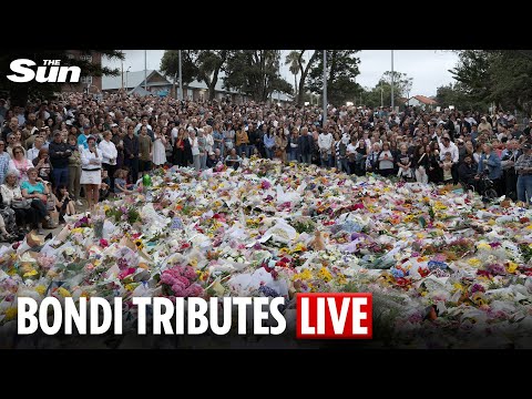 LIVE: Australia in mourning after Bondi Beach terror attack killed 15 at Hanukkah event