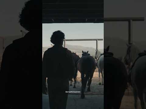 Il duro lavoro di un cowboy #shorts #progettohappiness #horse #cowboys #documentary #usa