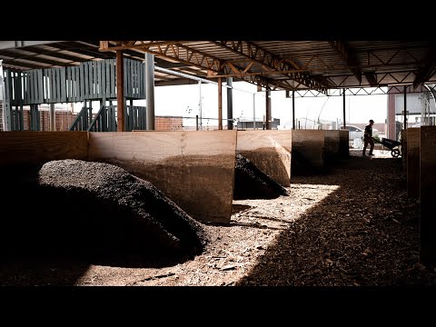 Tour of a Worm Farm | PARAGRAPHIC Origins