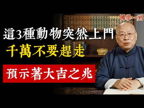 這3種動物突然上門，千萬別趕走！是「天降祥瑞」，預示家裡必有大喜事！