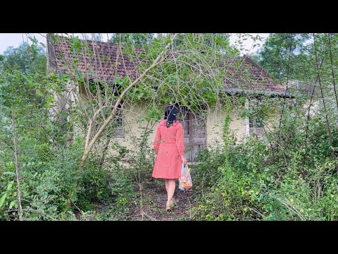 Bought an old house for only $2000 but when cleaning inside, found out it was made of rare wood