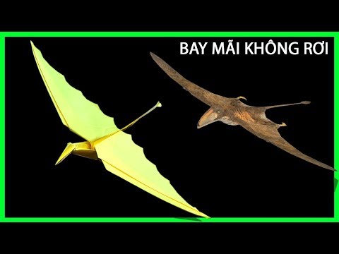 Cách gấp máy bay hình con khủng long bay mãi không rơi | How to make a paper Pterosaurs airplane.