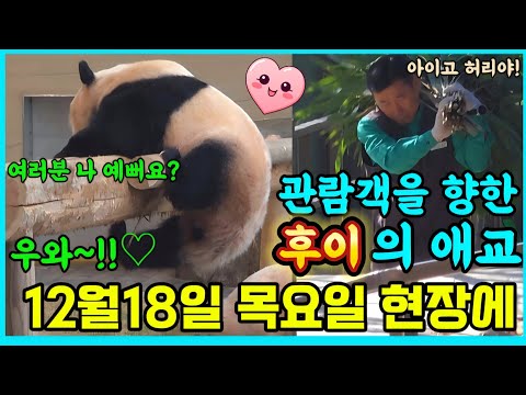 에버랜드 세컨하우스 😘 관람객 을 향해서 후이는 애교의 고구마 🍠 생산..