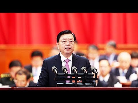 《十三届全国人大一次会议第三次全体会议》 张德江作全国人大常委会工作报告 | CCTV