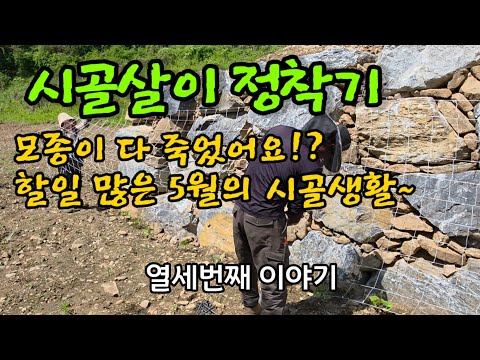 5월의 시골일상 ㅣ모종실패ㅣ콩 지주망 설치ㅣ고구마심기ㅣ야채씨앗파종