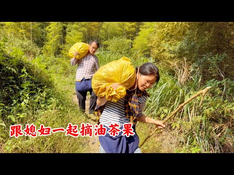 农村婆婆跟儿媳同住，儿媳不让婆婆去摘油茶果了，看婆媳如何相处