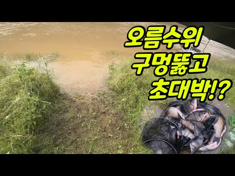 How to make Jackpot in Dam Fishing?