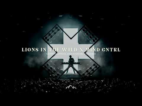 Lions In The Wild / Mind CNTRL (Martin Garrix UMF 2023 Mashup)