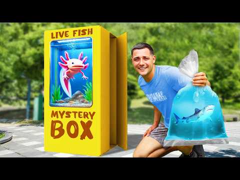 I Bought A Live Fish Mystery Box Off The Web..