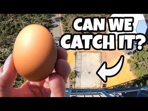 How High Can You Catch an Egg?