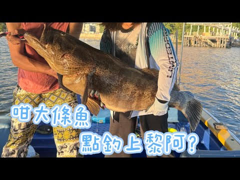 外海砌大班之我係cameraman2 我唔係真男人  #釣魚 #fishing #船釣