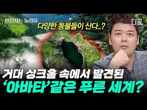 [#프리한19] (85분) 영화 〈아바타〉의 실존?🧞‍♀️ 거대 싱크홀 속에서 발견된 신비로운 생태계🌴 | #편집자는