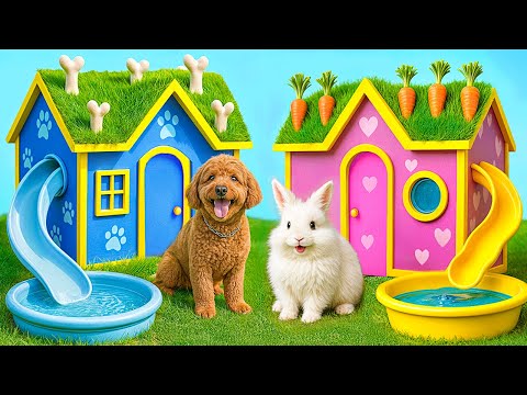 One Colored House Challenge for Pets | Crazy Challenge by Multi DO Smile