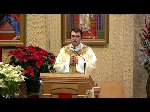 Daily Catholic Mass - February 11, 2025