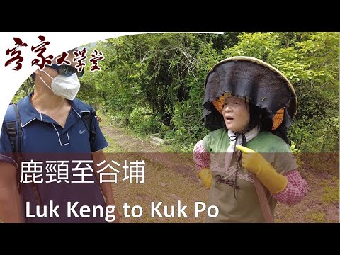 從鹿頸至谷埔 『香港客家村』From Luk Keng to Kuk Po