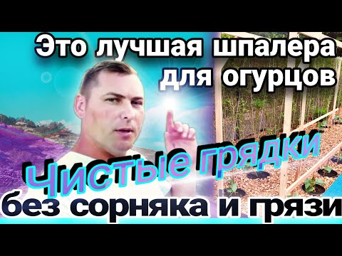 Огород без грязи и сорняка / Супер шпалера для огурцов