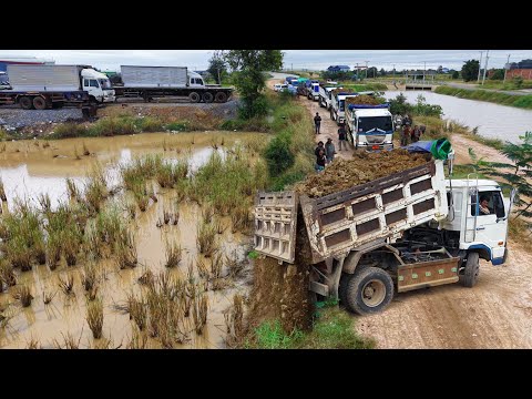 Perfectly Started A New Project!DumpTruck Pouring Delete feild Expert Skill Dozer D21P Pushing Soil