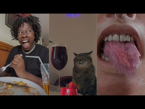 Weirdest Videos on the Internet| TikTok Compilation