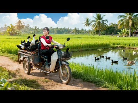 Epic 100KG Geese Transport from Farm to Market by 3-Wheeled Truck