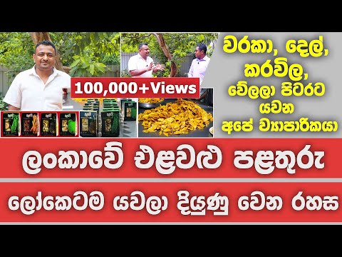 ලංකාවේ එළවළු, පළතුරු ලෝකයටම යවලා දියුණුවෙන රහස | Best dehydrated products from Sri Lanka