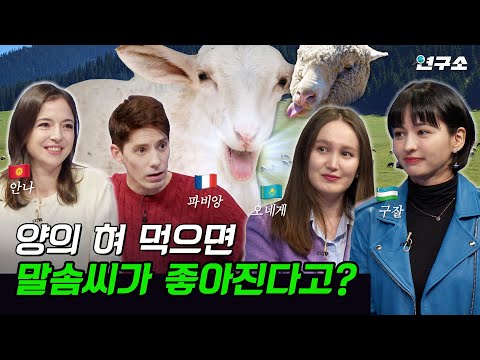 종특특집 ⅩⅥ. 말을 잘 하기 위해 양의 혀를 먹는 중앙아시아 사람들...  / 별다리 연구소