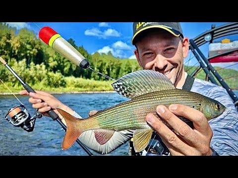 Незабываемая рыбалка ВНЕ ЦИВИЛИЗАЦИИ на аэролодке Аллигатор ! Серия 2