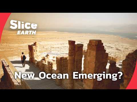 Africa's Continental Drift: The Rift That Could Reshape Earth | SLICE EARTH | FULL DOC