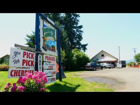 Small Diversified Farm Entrepreneur - Mobile Minute