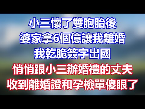 小三懷了雙胞胎後，婆家拿6個億讓我離婚，我乾脆簽字出國，悄悄跟小三辦婚禮的丈夫，收到離婚證和孕檢單傻眼了
