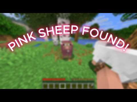 I FOUND AN ULTRARARE MINECRAFT MOB!