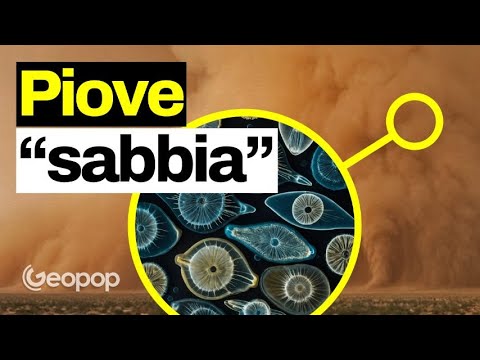 Quella che arriva dal Sahara non è sabbia ma polvere di microalghe: da dove arriva e a cosa serve