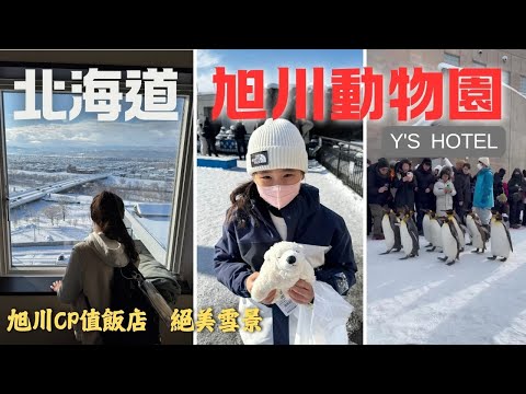 北海道自由行P6｜旭川動物園-千萬不要犯跟我們一樣的錯誤｜Y'S HOTEL｜