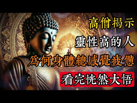 高僧揭示：靈性高的人，為何身體總感覺疲憊？看完恍然大悟#佛學 #禪宗 #佛教哲學 #佛教經典