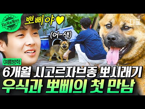 [#여름방학] 다가오지 마! 근데 멀어지지는 마…🙄 겁 많은 시골 강아지가 정유미&최우식이랑 친해지는 과정🐶 | #지금꼭볼동영상