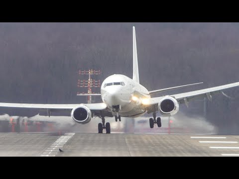 BOEING 737 CROSSWIND LANDING with a BIRD relaxing on the RUNWAY + A319 GO AROUND (4K)
