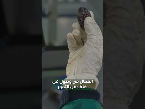 AbuAyyash Farms Artificial Intelligence Sorting Technologies