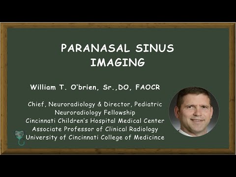Paranasal Sinus Imaging