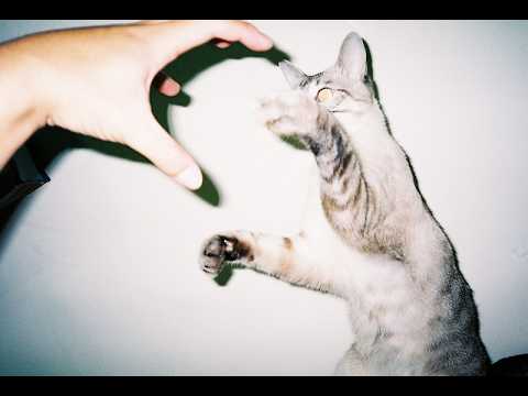 陳嫺靜 ✕ 蕭詒徽：「SU—GO—I—」｜蕭詒徽《葛莉絲的安安》九大企劃第四彈「逆輸入」系列線上專訪 Ⅳ