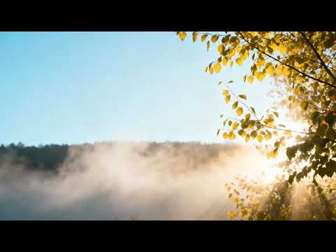 Início de Dia Suave — Paz, Luz e Música Relaxante para Equilíbrio