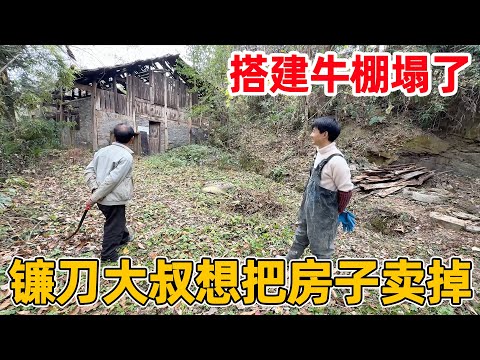 镰刀大叔想把房子以12万的价格卖掉，和李俊搭建的牛棚也塌了，让我们帮忙找买主说要给我们介绍费