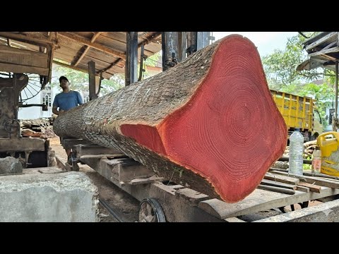 Hard work at the sawmill: This is how large logs are processed quickly.